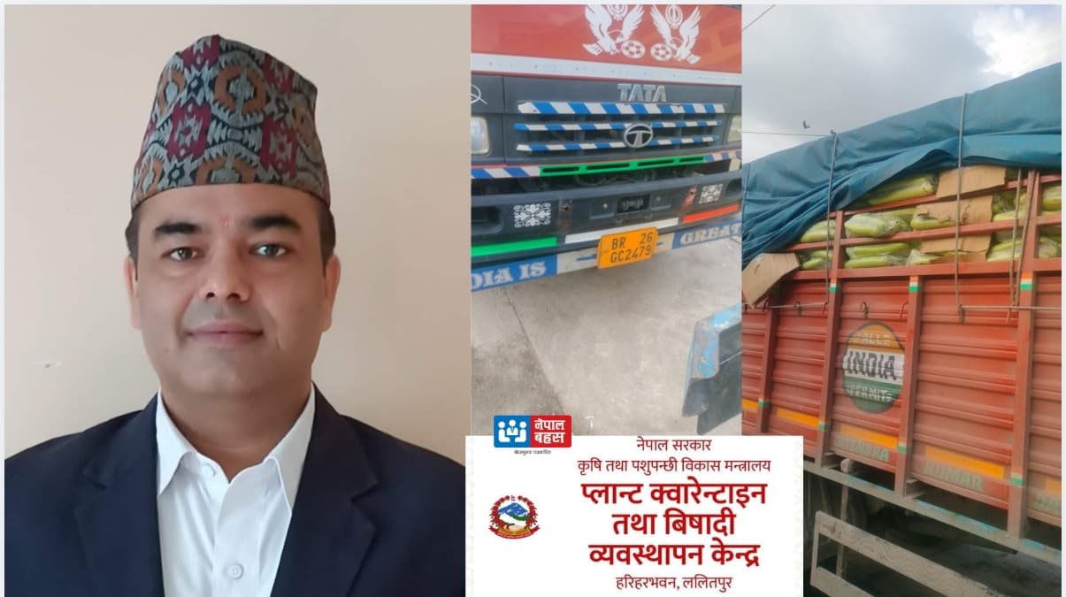 एक्सक्लुसिभः प्रतिबन्धित भारतीय लौका भन्सारबाटै काठमाडौं छिर्यो, प्लान्ट क्वारेन्टाइनको ‘सेटिङ’माथि गम्भीर प्रश्न